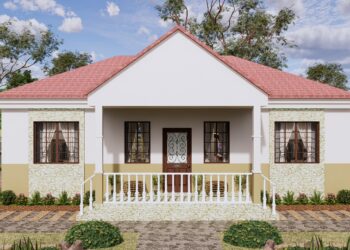 Simple House Plans, 3 Bedrooms, 2 Bathrooms, 13X13 METERS