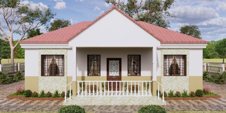 Simple House Plans, 3 Bedrooms, 2 Bathrooms, 13X13 METERS